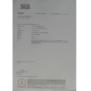 SGS报告