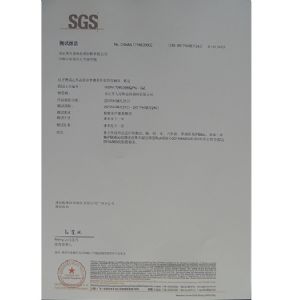 SGS报告